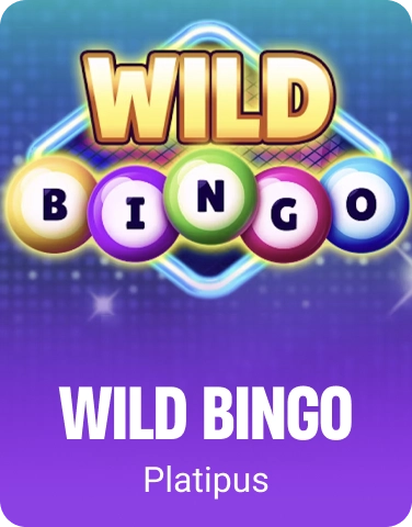 Wild Bingo Game Banner